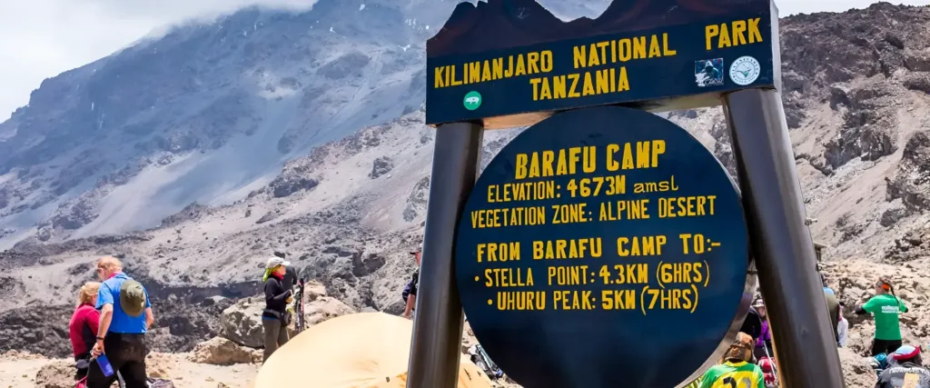 Day 5: Karanga Camp (3,995 m) to Barafu Camp (4,673 m)