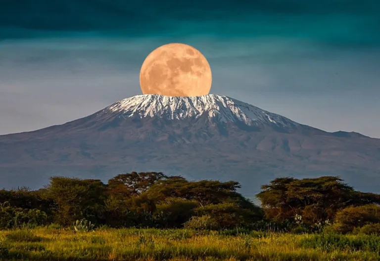 Where is Mount Kilimanjaro Located?