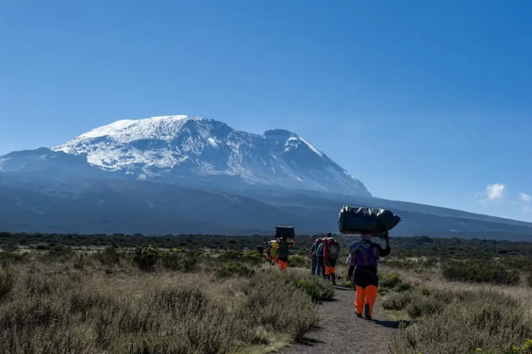 Which Kilimanjaro Route Has Highest Success Rate?