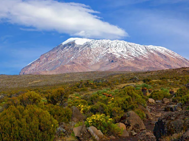 Read more about the article What is the Difference Between the Machame and Marangu Routes?