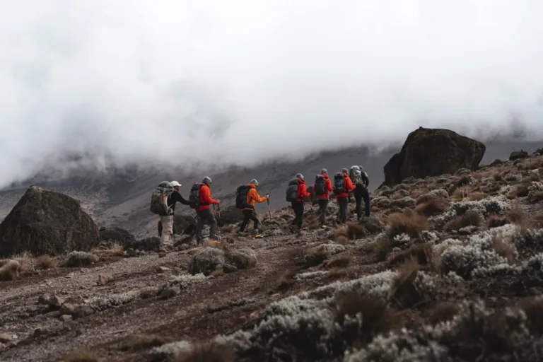 Weather on Kilimanjaro in January