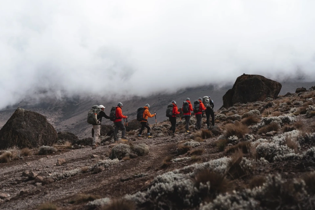 Read more about the article What Are the Weather Conditions on Kilimanjaro in January?
