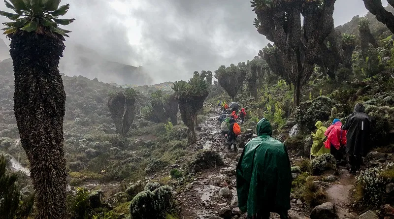 Read more about the article Is It Advisable to Climb Kilimanjaro During the Rainy Season?