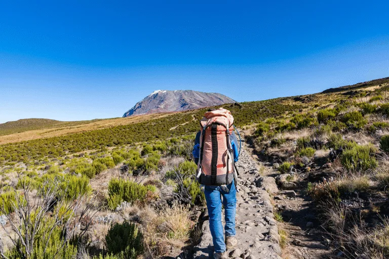 Are There Fewer Crowds During Certain Months on Kilimanjaro?