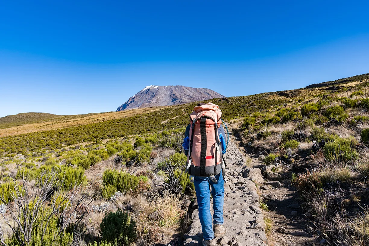 Read more about the article Are There Fewer Crowds During Certain Months? Mount Kilimanjaro Travel Guide