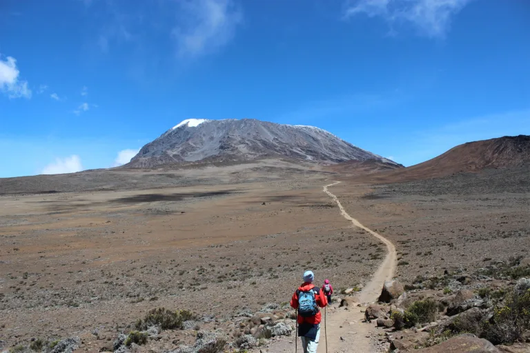 Mount Kilimanjaro: First-Time Climber Success Rate