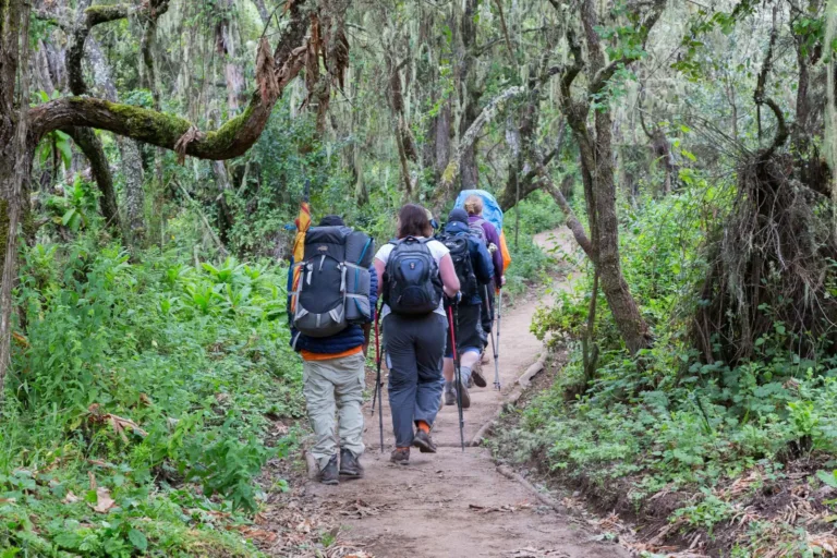 Are There Any Restrictions for Older Climbers on Kilimanjaro?