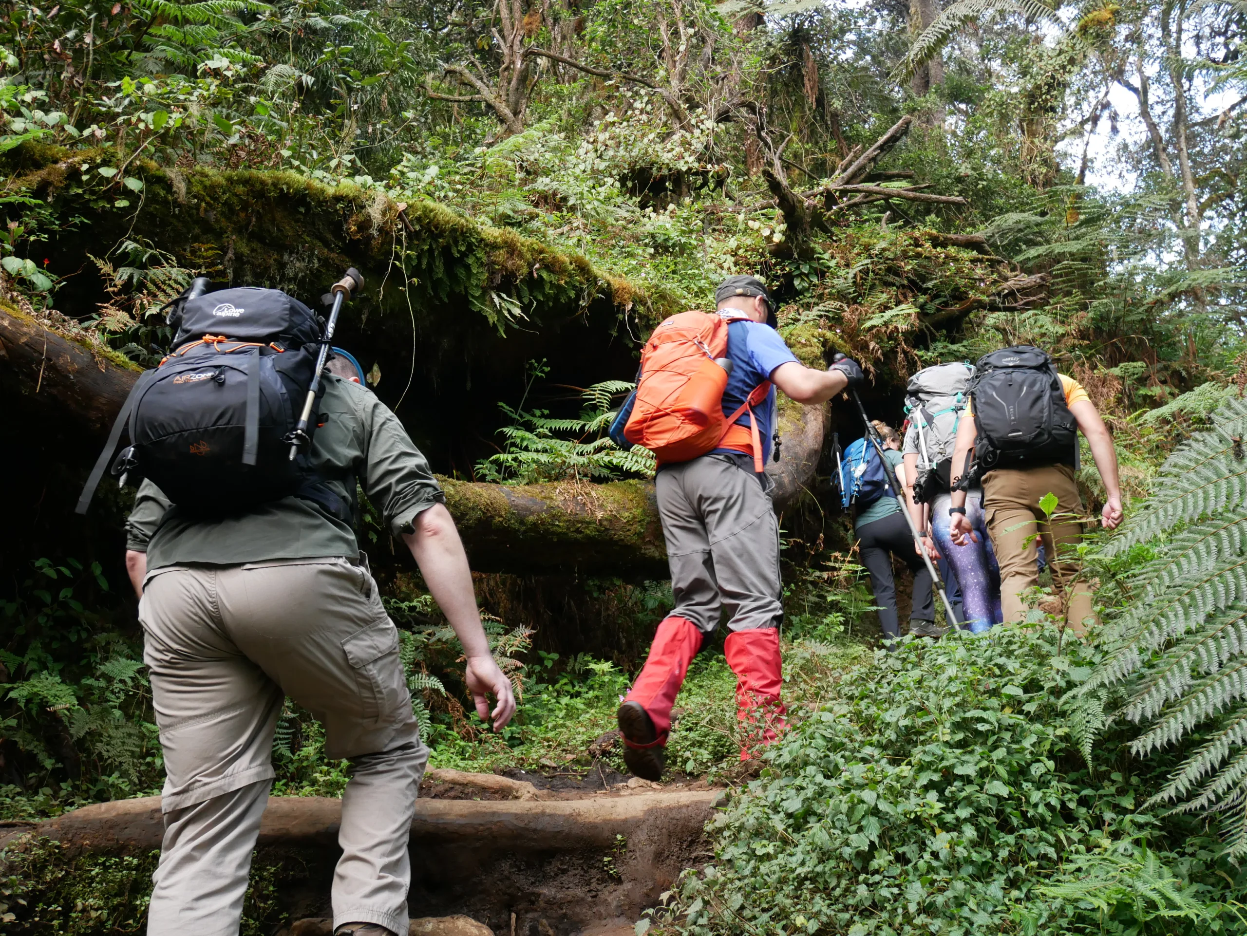 Read more about the article What Are the Most Rewarding Aspects of the Climb?