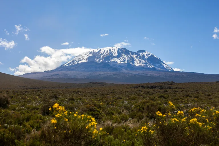 What are the different peaks of Mount Kilimanjaro?