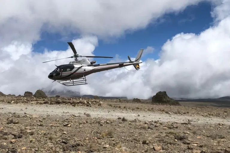 Are There Rescue Services on Mount Kilimanjaro?
