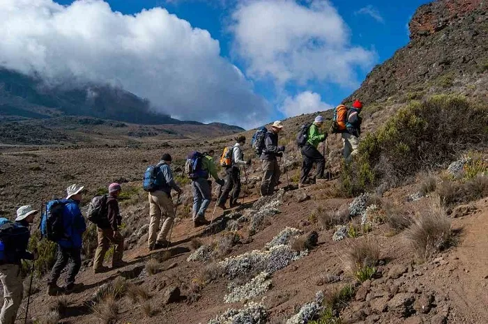 Read more about the article Are There Training Programs Available for Kilimanjaro?