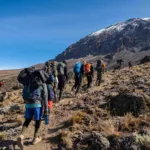 Hypothermia Risks on Mount Kilimanjaro: Stay Safe Guide