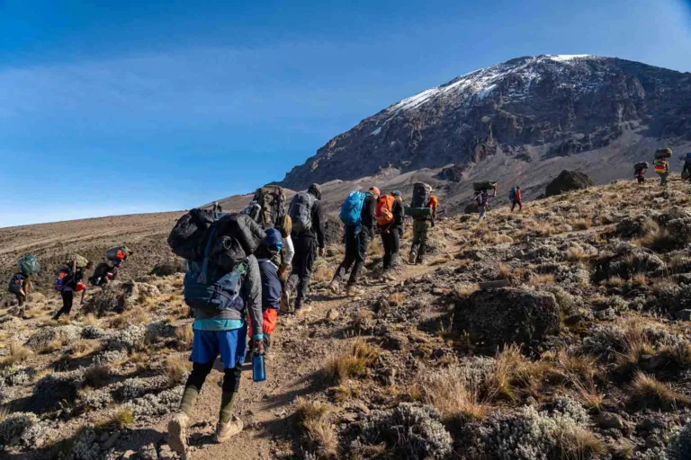 Hypothermia Risks on Mount Kilimanjaro: Stay Safe Guide